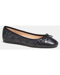 Bonnie ballet deals coach