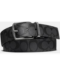 coach belt men