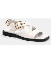 COACH - Archival Buckle Flat Sandal - Lyst