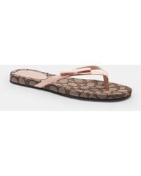 COACH JANICE SIG C PVC/MAT CALF コーチ サンダル COACH - COACH JANICE SIG C PVC/MAT CALF コーチ サンダルの通販 by