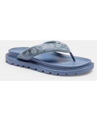 COACH - Brynn Thong Sandal - Lyst