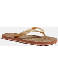 coach outlet flip flops