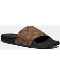 coach slippers price