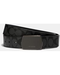 coach belt men