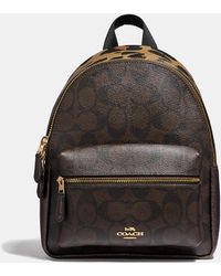 ibex laptop backpack