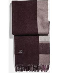 coach oversized muffler with pockets