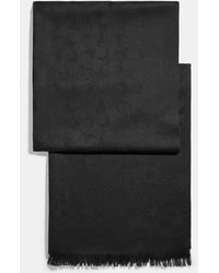 black coach scarf