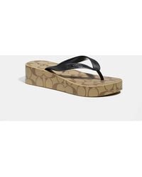 coach flip flops outlet