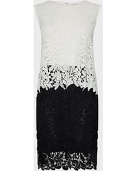 coco lace dress coast