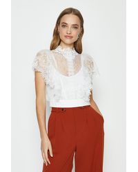 coast avery ruffle top