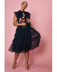 coast fashion dresses
