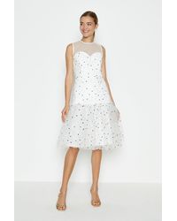 coast uk dresses