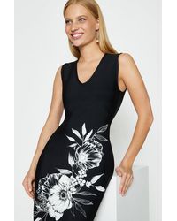 ami roccabella dress