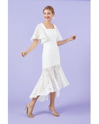 coast dee dee lace dress