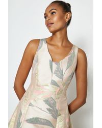 coast riona print jacquard dress