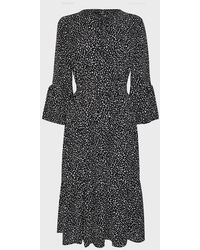 coast mila animal print dress