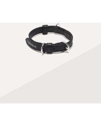 Coccinelle - Halsband Beschichtetem Canvas Mit Monogram-Muster Und Genarbtem Leder Pet Accessories - Lyst