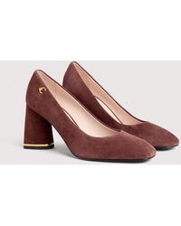 Coccinelle - Suede Pumps C-Everyday - Lyst
