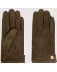 Coccinelle - Suede Gloves C-Me - Lyst