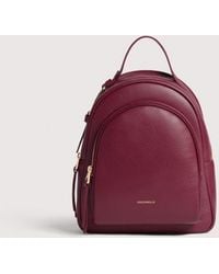 Coccinelle - Rucksack Aus Genarbtem Leder Malory Medium - Lyst