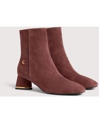 Coccinelle - Suede Ankle Boots C-Everyday - Lyst