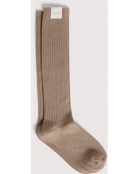 Coccinelle - Cotton-Blend Socks Ribbed Knee Socks - Lyst