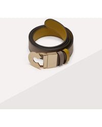 Coccinelle - Grained Leather Belt Logo C Reversible - Lyst