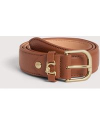 Coccinelle - Grained Leather Belt Metal Loop - Lyst