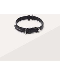 Coccinelle - Halsband Beschichtetem Canvas Mit Monogram-Muster Und Genarbtem Leder Pet Accessories - Lyst