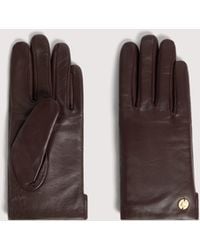 Coccinelle - Guanti - Lyst