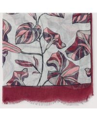 Coccinelle - Silk And Modal Stole Multiflower - Lyst