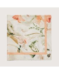 Coccinelle - Silk And Viscose Stole Water Flowers - Lyst