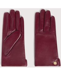 Coccinelle - Guanti - Lyst