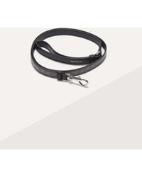 Coccinelle - Hundeleine Aus Beschichtetem Canvas Mit Monogram-Muster Und Genarbtem Leder Pet Accessories - Lyst