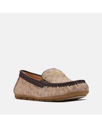 coach driving shoes womens