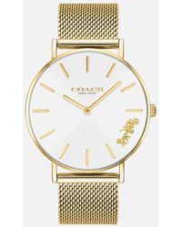 coach watches for women