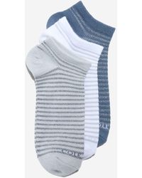 Cole Haan - Women's 3-pack Stripe Soft Low-cut Socks - Lyst