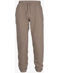 classic organic sweatpants