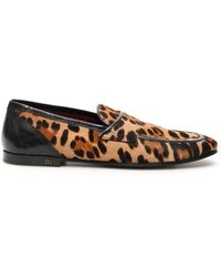 mens leopard print shoes uk