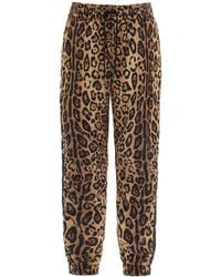Dolce & Gabbana - Leopard Print Nylon Jogger Pants For - Lyst