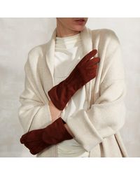 Cornelia James - Eloise - Lyst