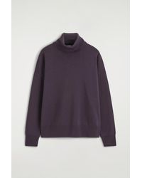 COS - Merino Wool Roll-Neck Sweater - Lyst