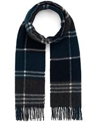 Barbour Scarves and mufflers for Women