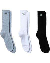 Herren-Socken von Lacoste | Online-Schlussverkauf – Bis zu 31% Rabatt |  Lyst DE