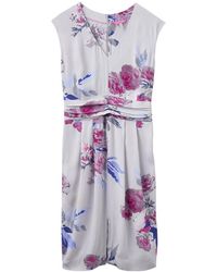 hobbs eleanor dress