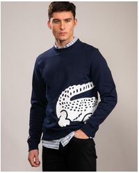 lacoste navy blue sweatshirt