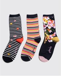 Joules Socks for Women | Black Friday 