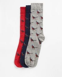 Barbour - 3-Pack Pheasant Socks Gift Set - Lyst