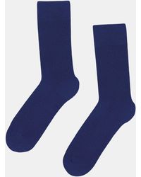 COLORFUL STANDARD - Classic Organic Socks - Lyst