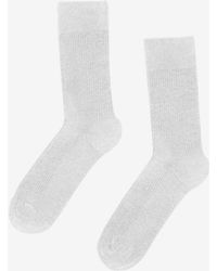 COLORFUL STANDARD - Classic Organic Socks - Lyst